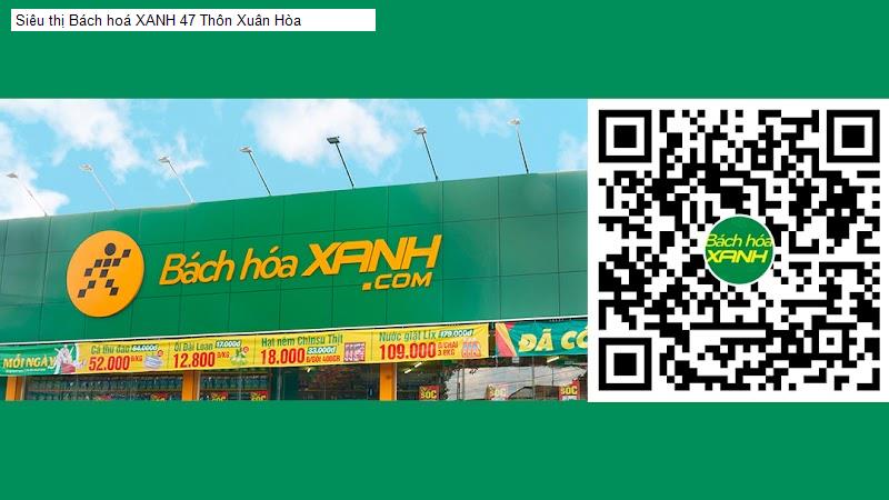 Siêu thị Bách hoá XANH 47 Thôn Xuân Hòa