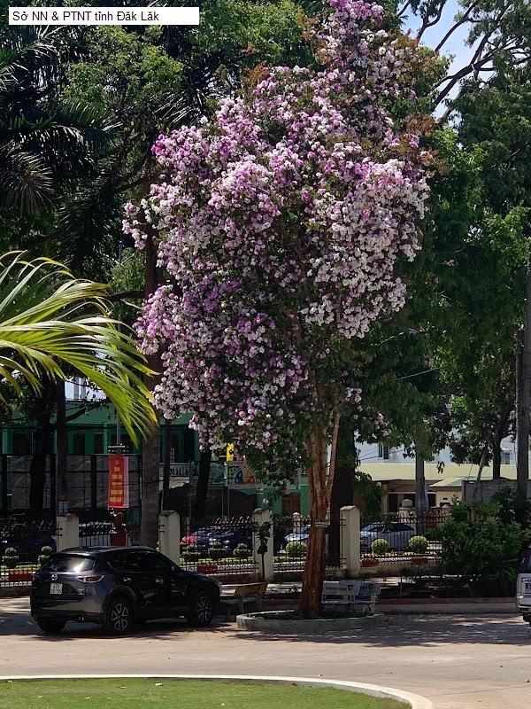 Sở NN & PTNT tỉnh Đăk Lăk